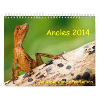 Calendário Anoles 2014