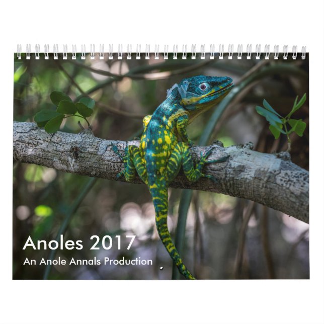 Calendário Anoles 2017 - Uma produção dos anais de Anole (Capa)