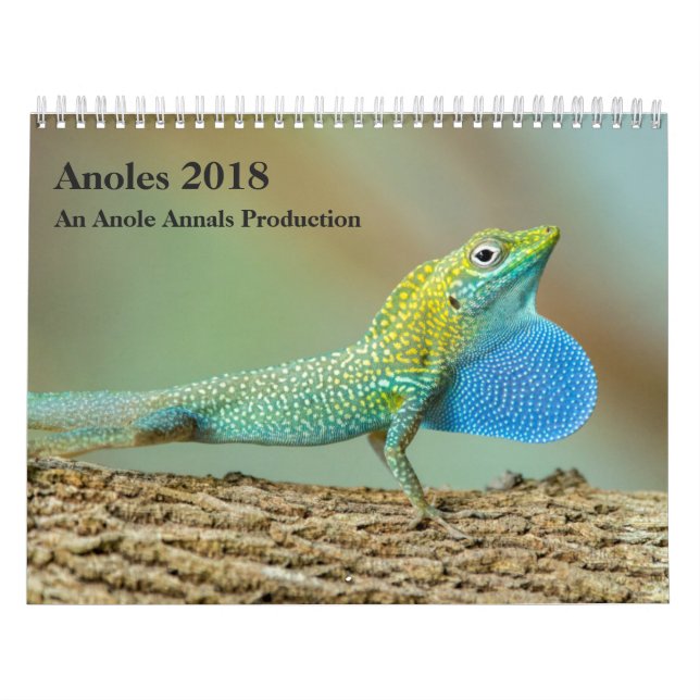 Calendário Anoles 2018 - Uma produção dos anais de Anole (Capa)