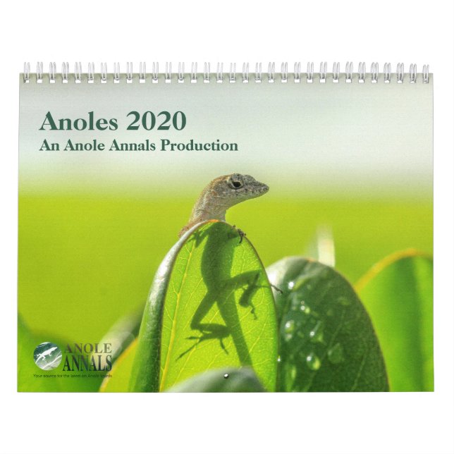 Calendário Anoles 2020 - Uma Anole Anula A Produção (Capa)