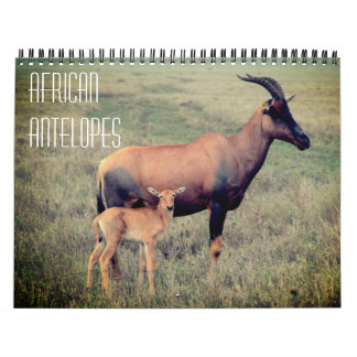 Calendário antílopes africanos 2027