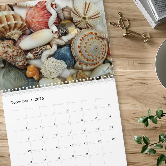 Calendário Anual de Fotografia de Conchas Marinhas (Criador carregado)