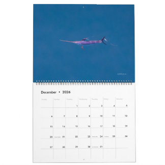 Calendário Apenas de Peixe-Espada 2026