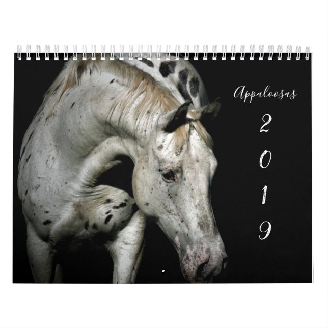 Calendário Appaloosa (Capa)