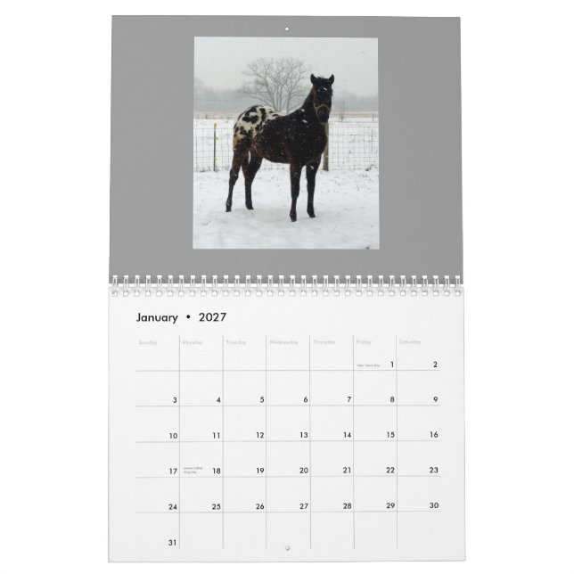 Calendário Appaloosas 2011 da família (Jan 2027)