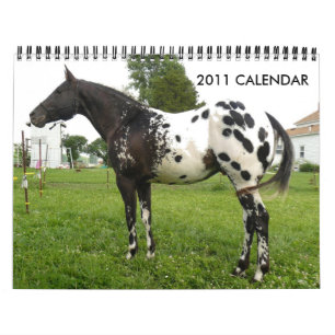 CALENDÁRIO APPALOOSAS DA FAMÍLIA DE JOHN E DE MARIE CRAIG
