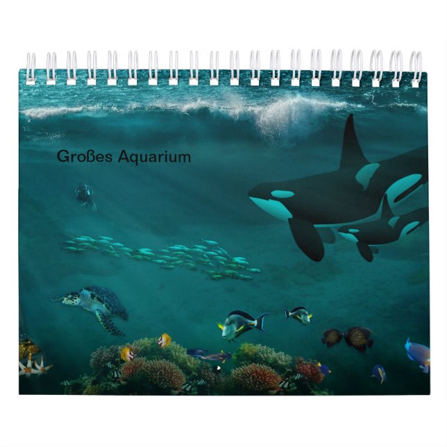 Calendário Aquário (Capa)