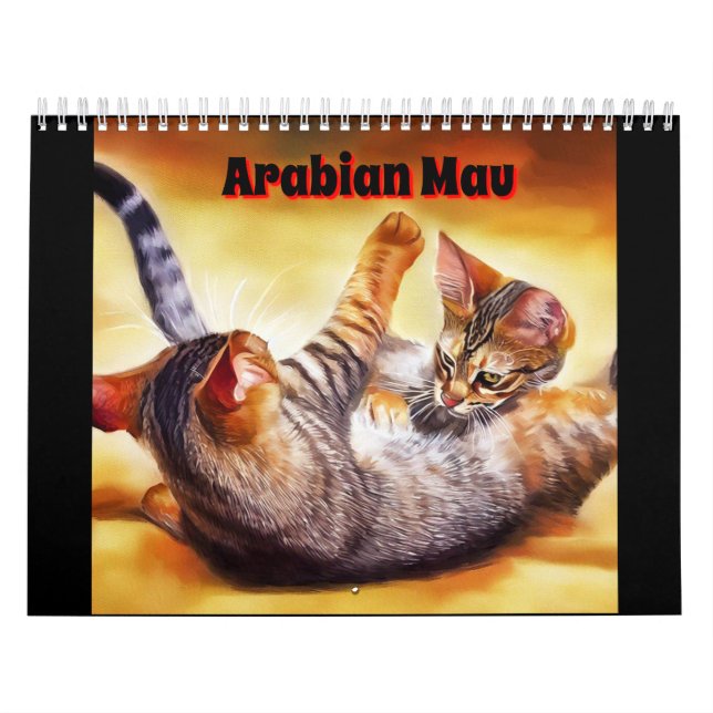 Calendário Arabian Mau Cat (Capa)