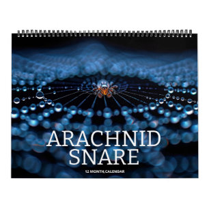 Calendário Arachnid Snare