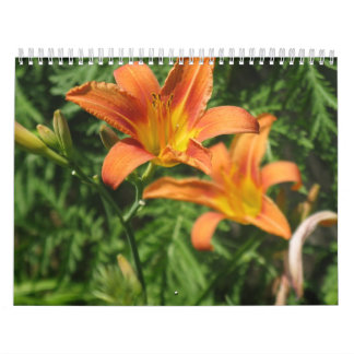 Calendário artística