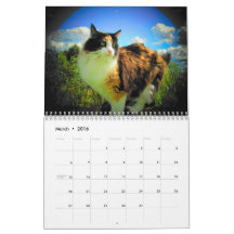 Artisticats do DJ por djoneill