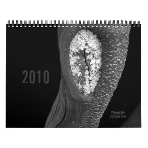 Calendário Árvores 2010