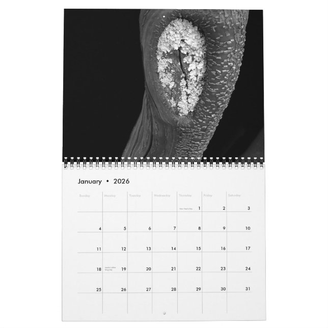 Calendário Árvores 2010 (Jan 2026)