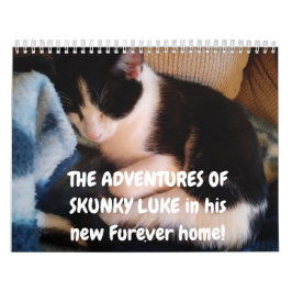 Calendário As Aventuras do Skunky Luke