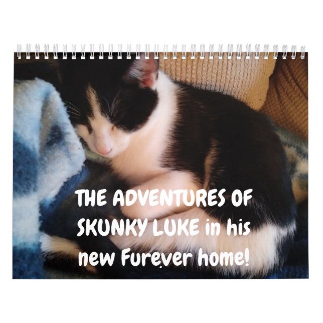 Calendário As Aventuras do Skunky Luke (Capa)