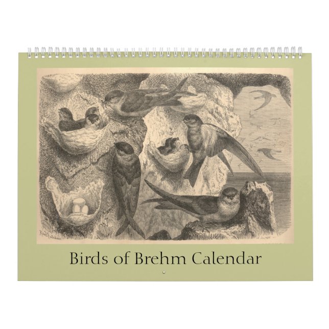 Calendário As aves de Brehm (Capa)