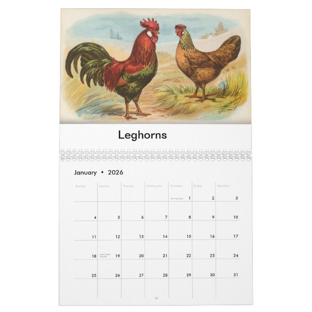 Calendário As aves domésticas de Biggle Calendar (Jan 2026)