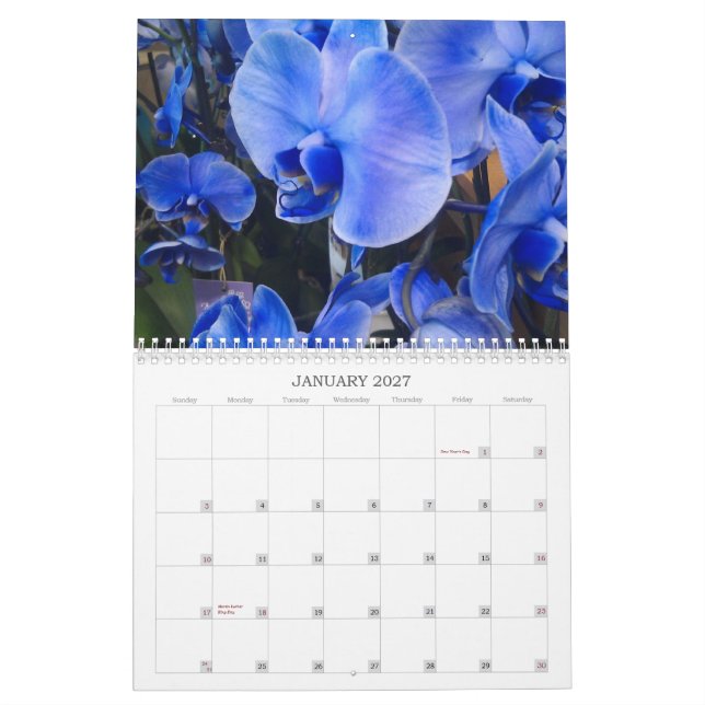 Calendário As flores Calendar para 2013 (Jan 2027)