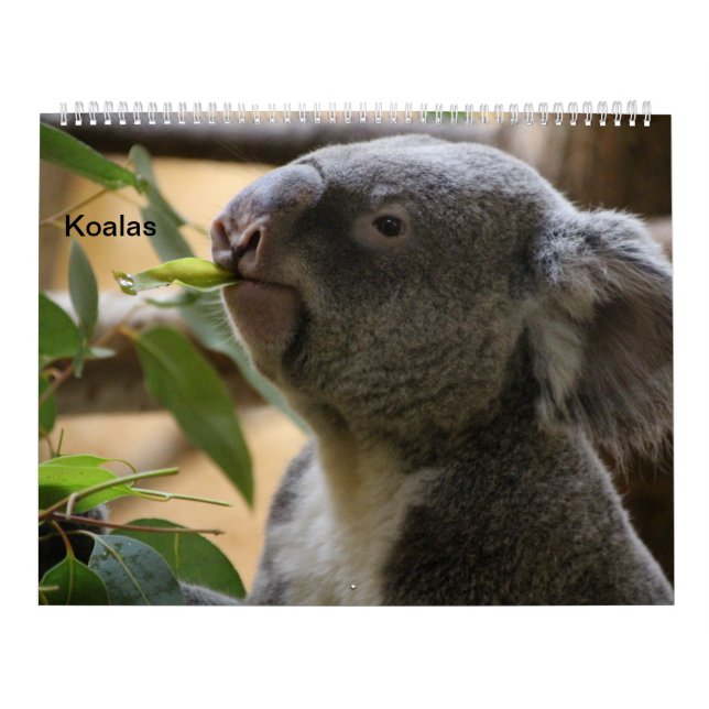 Calendário As Koalas (Capa)