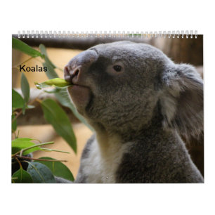 Calendário As Koalas