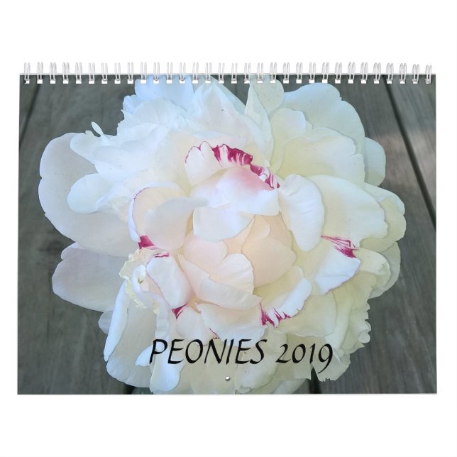 Calendário As peônias Calendar 2019 (Capa)