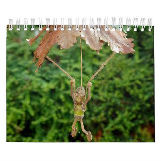 Calendário As Pessoas Acorn de Shirebrook Valley