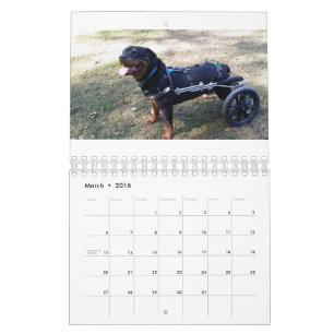 Calendário As rodas 2016 de Eddie