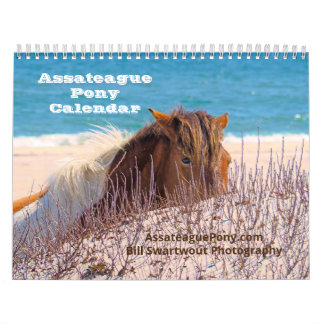 Calendário Assateague Pony Calendar