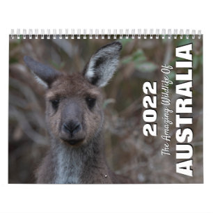 Calendário Austrália 2025 Foto Animal