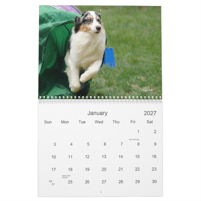 Calendário australiano da agilidade do pastor (Jan 2027)
