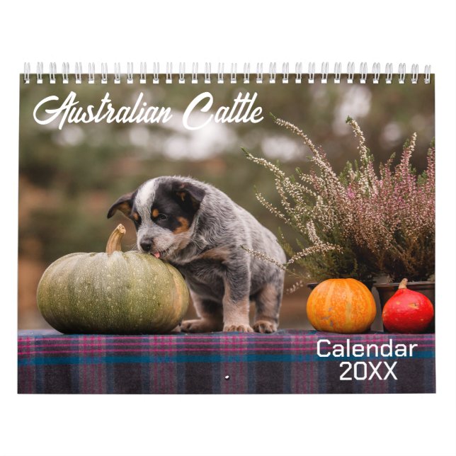 Calendário Australiano dos Cães 2026 (Capa)