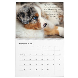 Calendário australiano dos filhotes de cachorro d