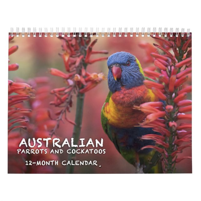 Calendário australiano dos papagaios & dos (Capa)