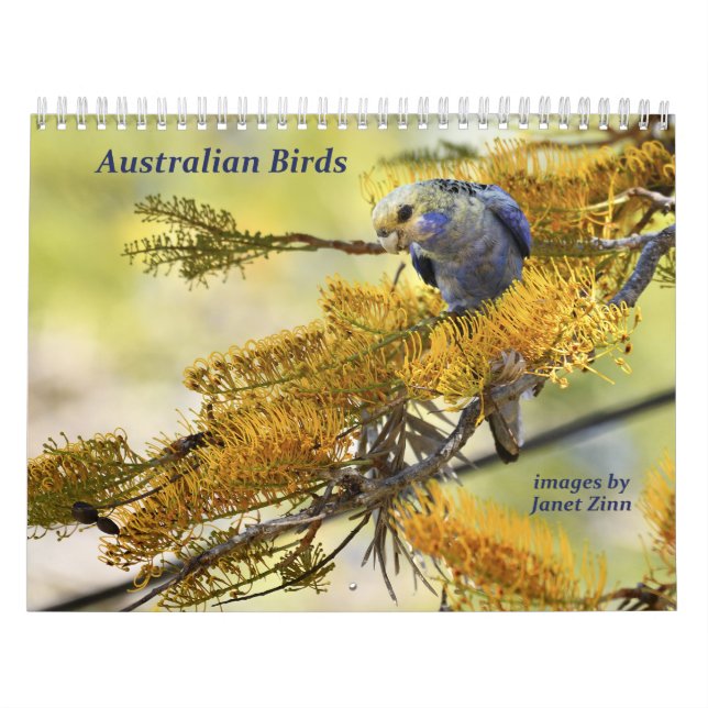 Calendário australiano dos pássaros (Capa)