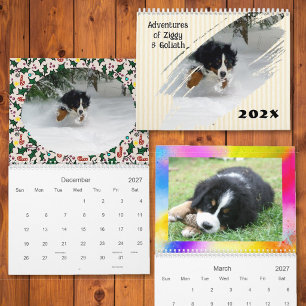 Calendário Aventuras do seu cão Foto personalizada