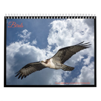 Calendário Aves
