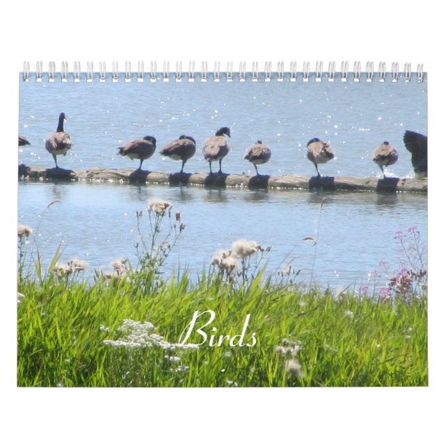 Calendário Aves (Capa)