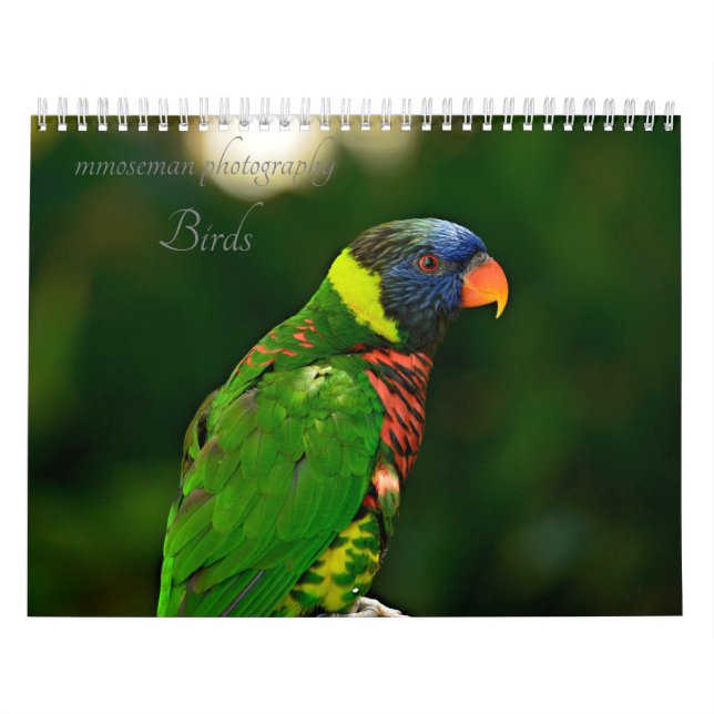 Calendário Aves (Capa)