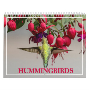 Calendário Aves