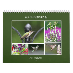 Calendário Aves