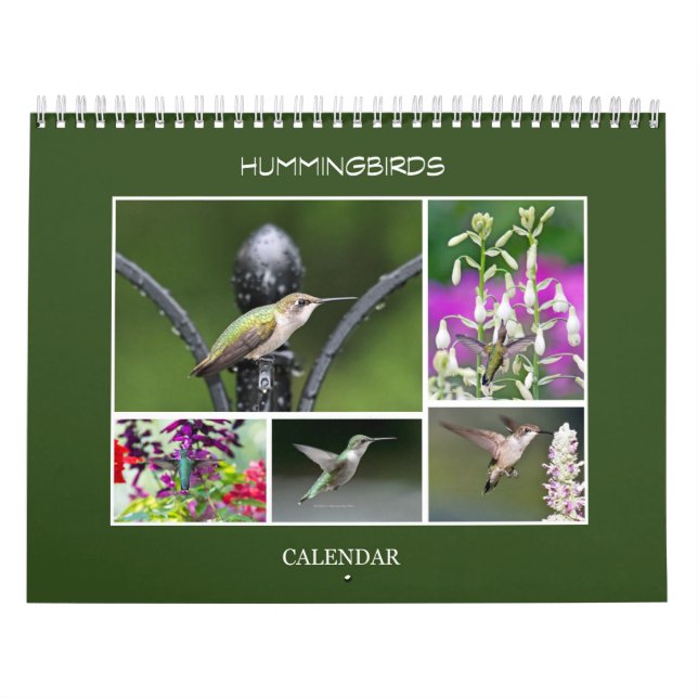 Calendário Aves (Capa)