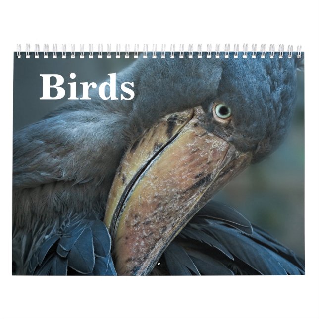Calendário Aves 2026 (Capa)