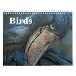 Calendário Aves 2026