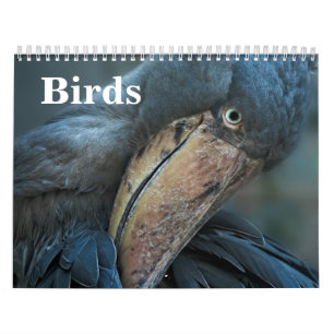Calendário Aves 2026