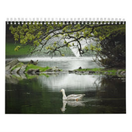 Calendário Aves Aquáticas