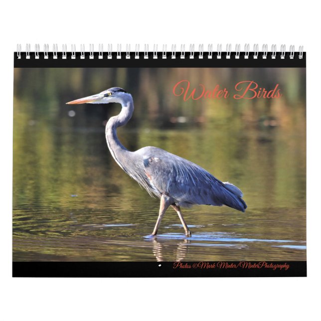 Calendário Aves Aquáticas (Capa)