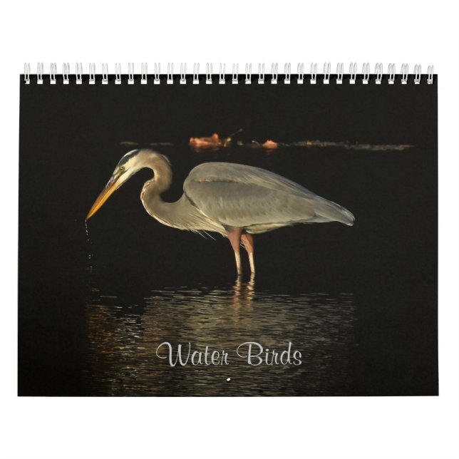 Calendário Aves Aquáticas 2 (Capa)