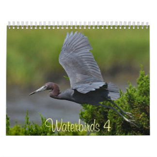 Calendário Aves aquáticas 4