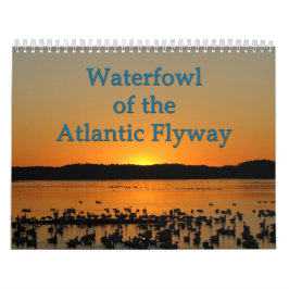 Calendário Aves aquáticas da rota migratória atlântica