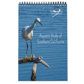 Calendário Aves Aquáticas do Sul da Califórnia por Kelly Nine